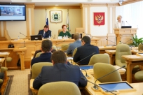 Уполномоченный по правам человека выступила на заседании комитета областной Думы