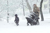 С 2026 года для семей с детьми появилась семейная налоговая выплата: как ее получить и от чего зависит размер поддержки